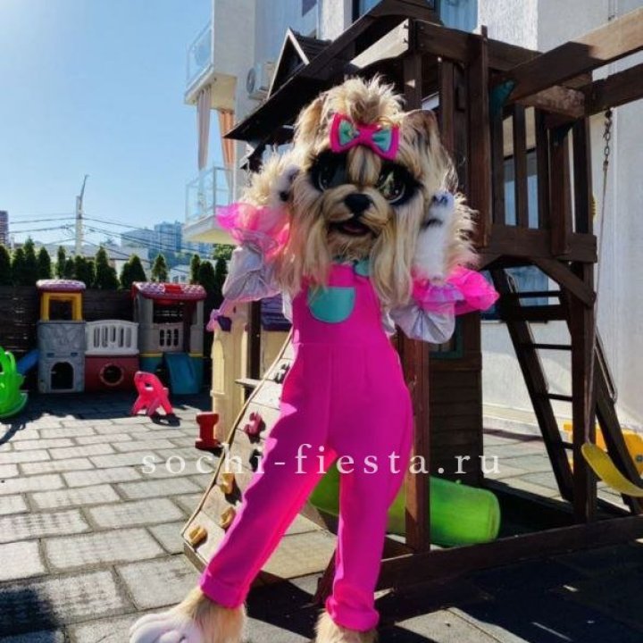 Аниматор Гламурная Собака в Иркутске