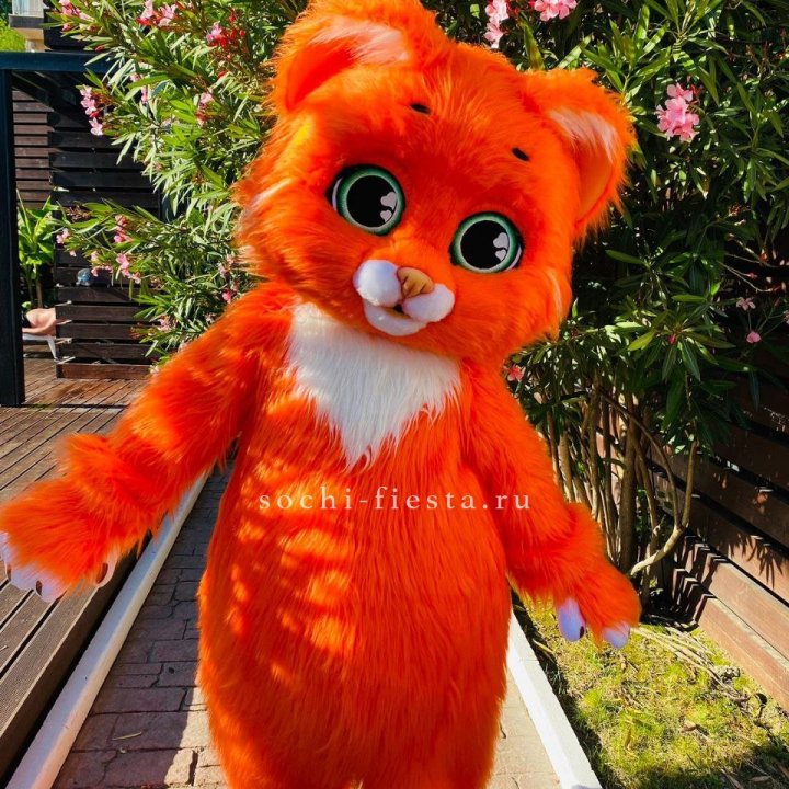 Аниматор Котик в Иркутске