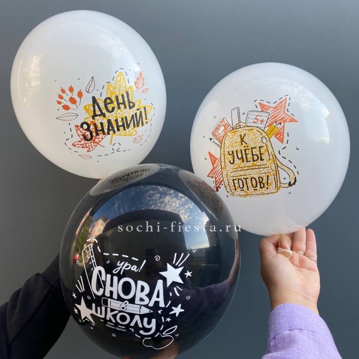 Воздушный шар к 1 сентября в Иркутске