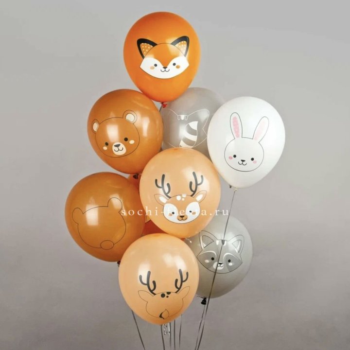Воздушный шар "Животные" в Иркутске
