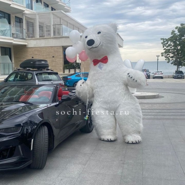 Аниматор Белый Медведь в Иркутске