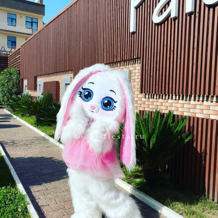 Аниматор Зайка в Иркутске