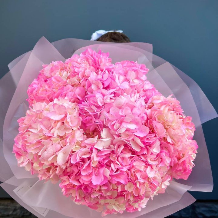 9 ярко розовых гортензий в Иркутске