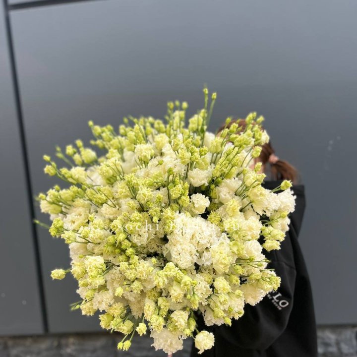 51 белая эустома в Иркутске