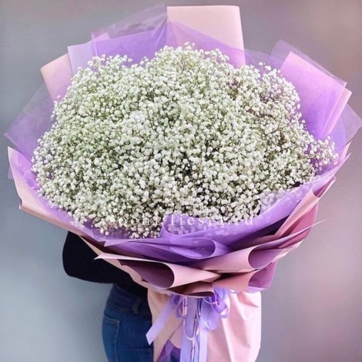 Облако белых гипсофил в Иркутске