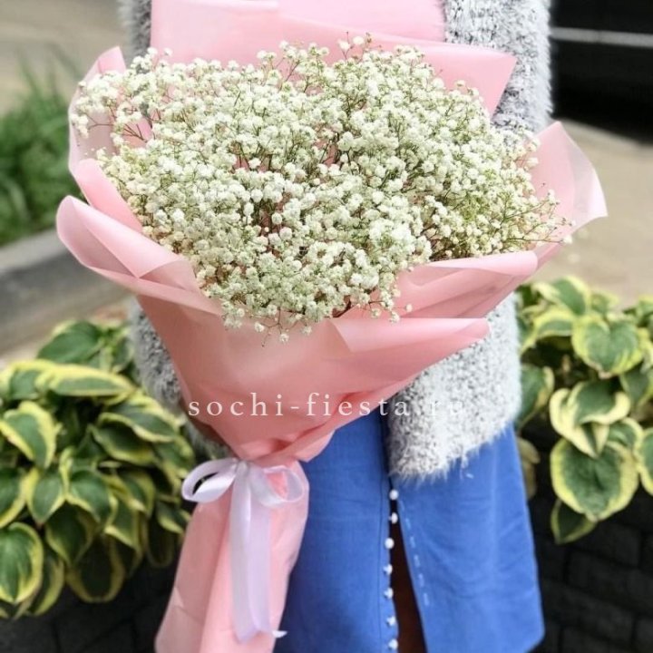 Белоснежные гипсофилы в Иркутске