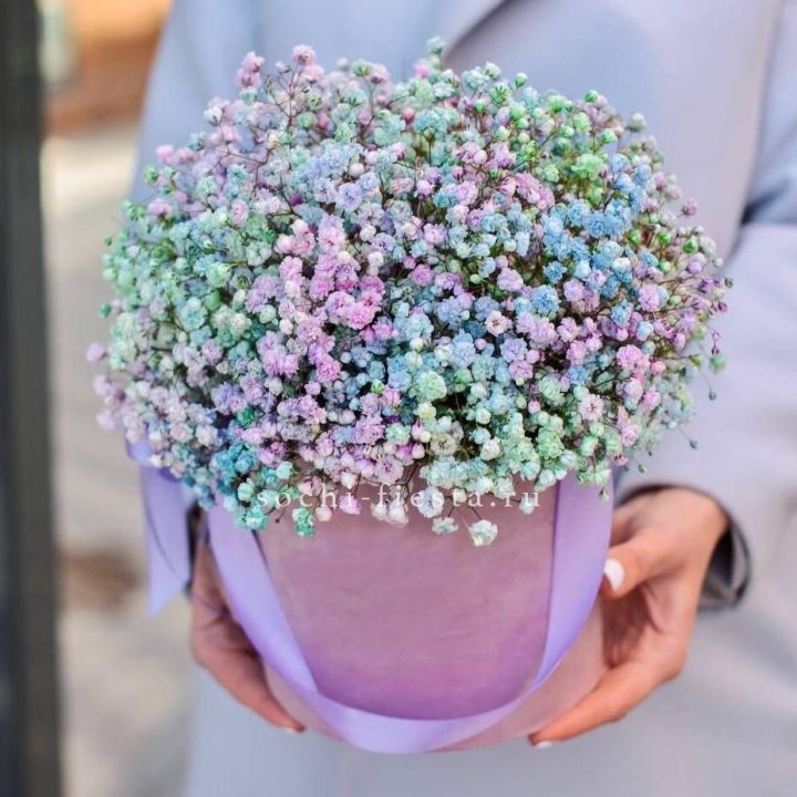 Гипсофилы в шляпной коробке "Кандилайт" в Иркутске