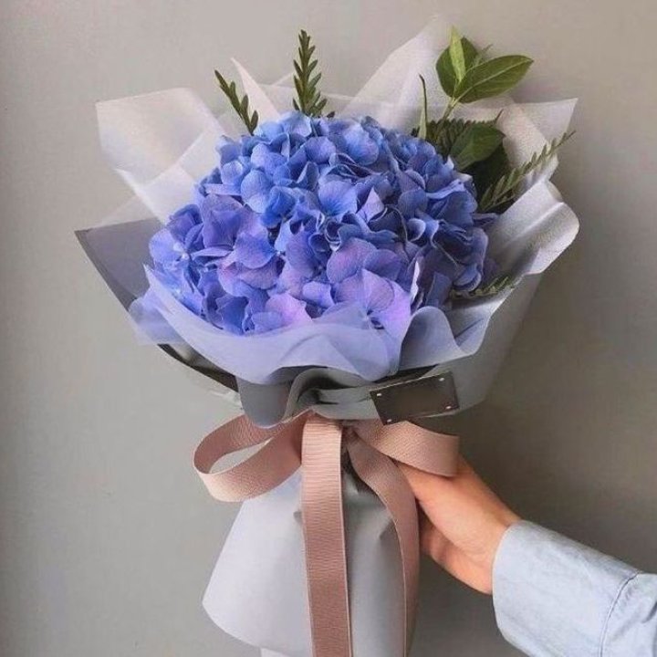 Гортензия голубая в Иркутске