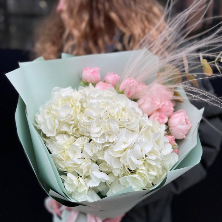 Гортензия "Жасмин" в Иркутске