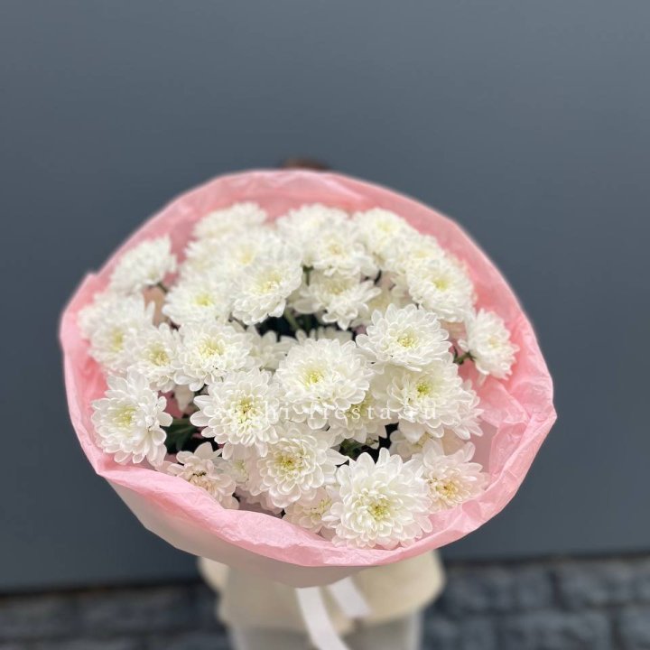  5 хризантем  в Иркутске