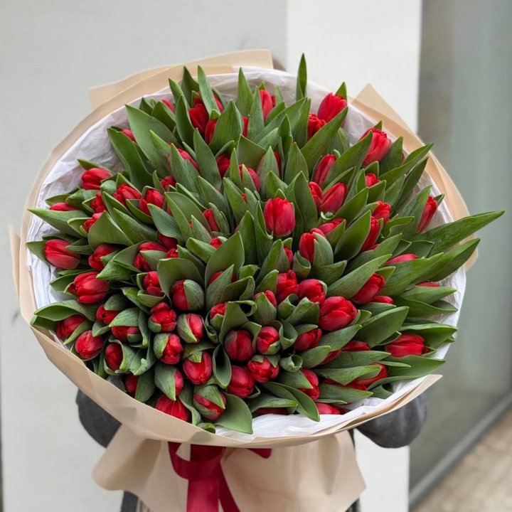 101 красный тюльпан в Иркутске