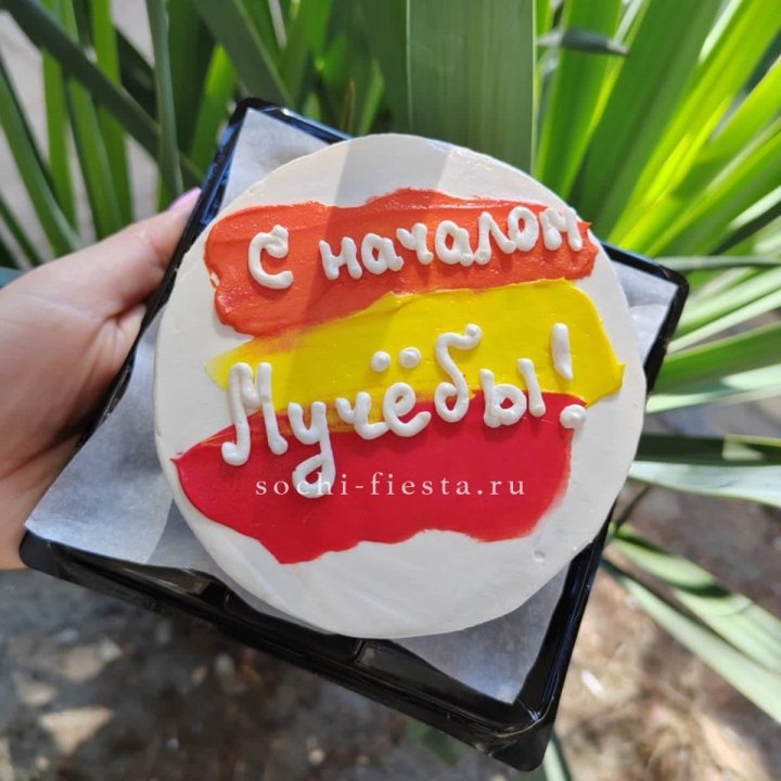 Бенто-торт "С началом учёбы"" в Иркутске