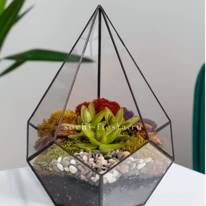Флорариум Капля с суккулентом в Иркутске