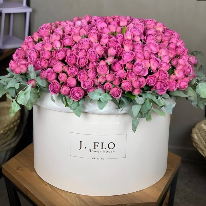 Цилиндр с Мисти Бабблс  в Иркутске