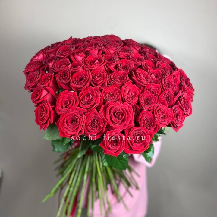 101  голландская роза  в Иркутске