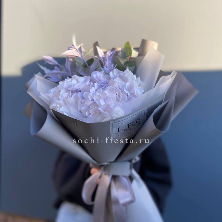 Гортензия "Виолета" в Иркутске