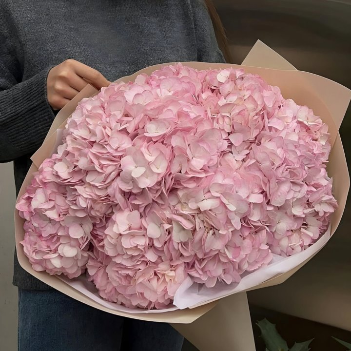 Гортензия  "РОЗЕ" в Иркутске