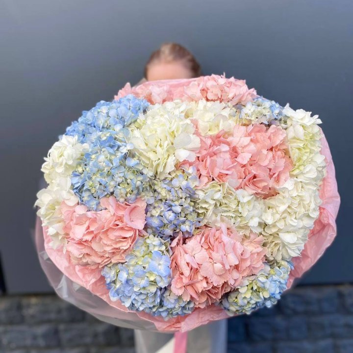 19 гортензий микс в Иркутске