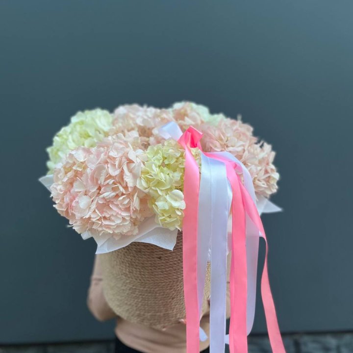 7 гортензий в кашпо в Иркутске