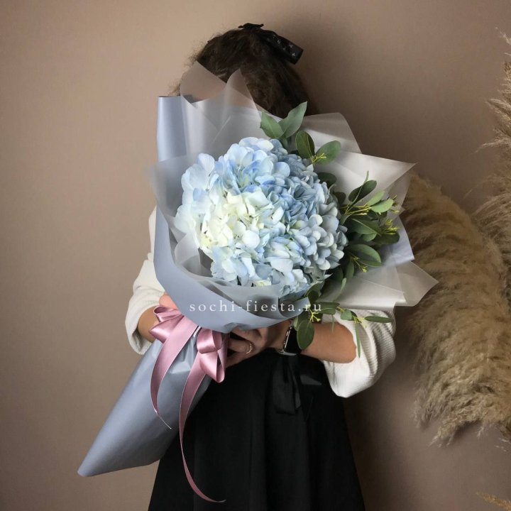 Гортензия Уно в Иркутске