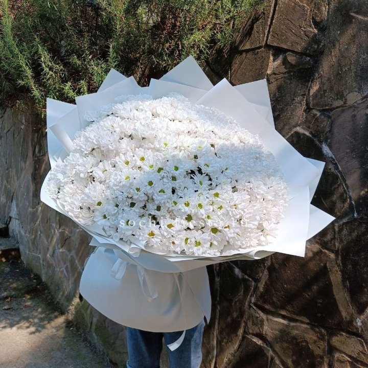 Облако хризантем №2 в Иркутске