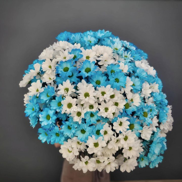  Букет хризантем микс в Иркутске