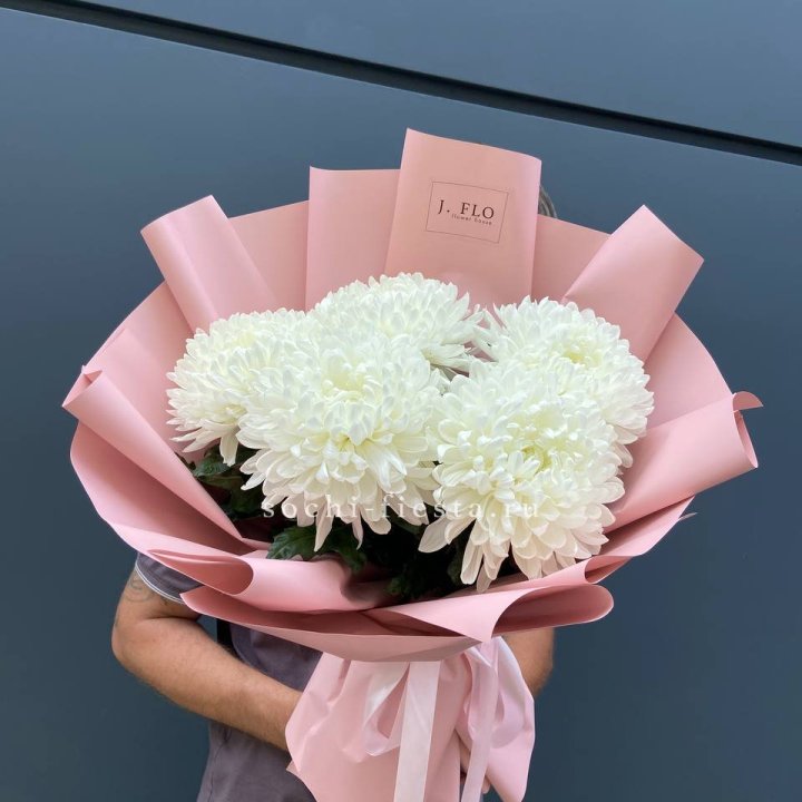 Профитроли №2 в Иркутске