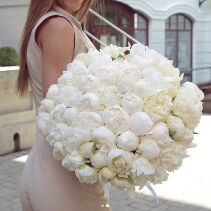 51 белый пион в Иркутске