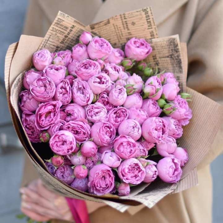 Роза Мисти Баблс в Иркутске