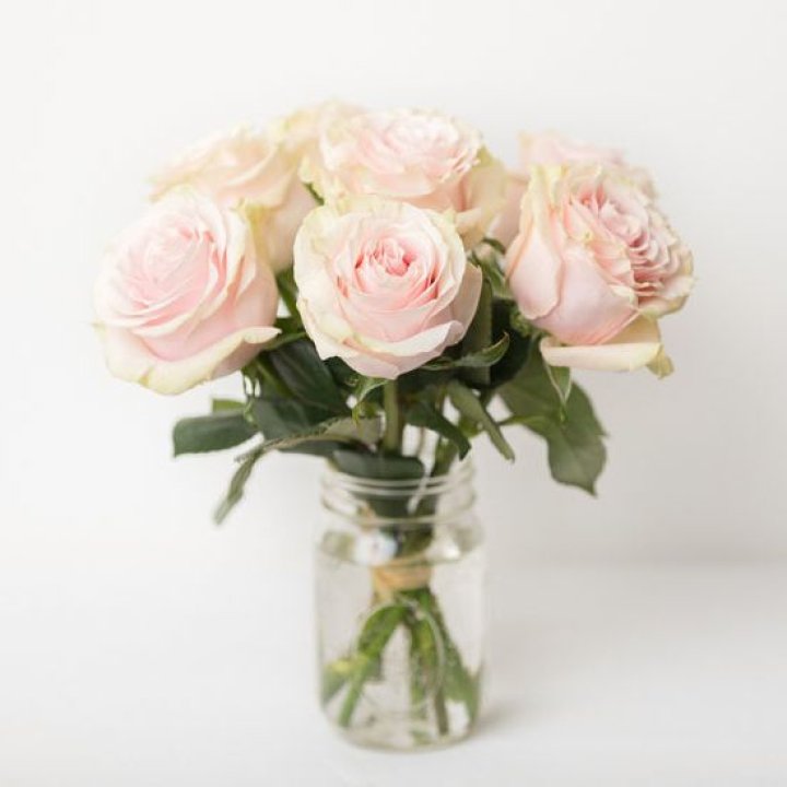 7 кремовых роз в Иркутске