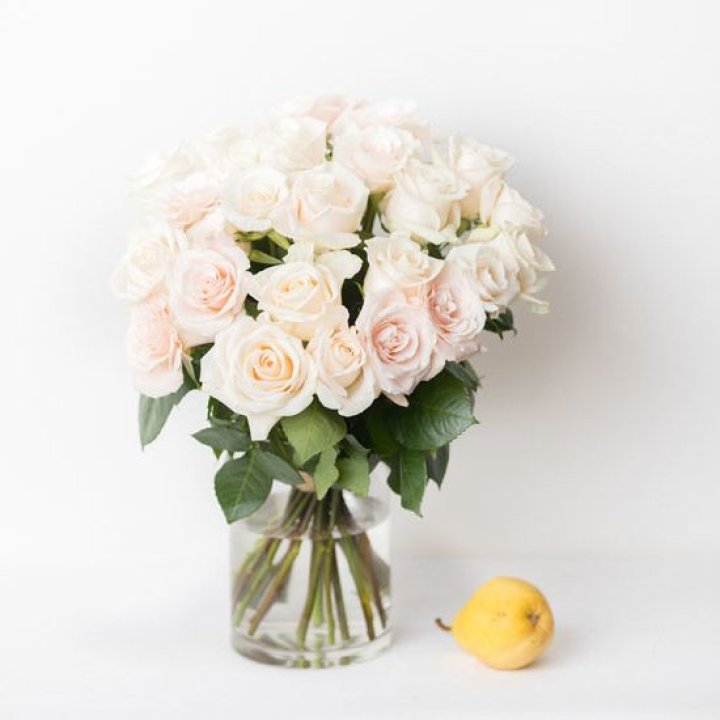 25 кремовых роз в Иркутске