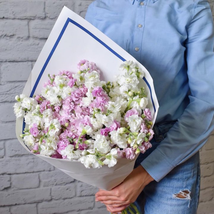 Маттиола в Иркутске