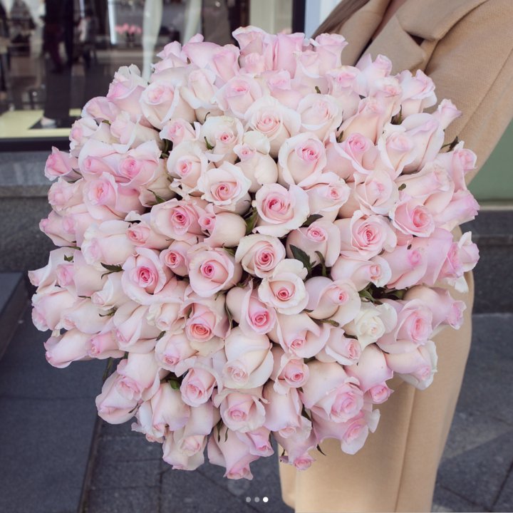 Розы "Пинк бум" в Иркутске