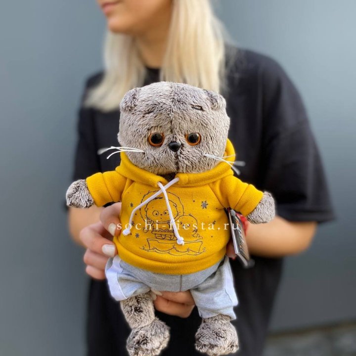 Кот Басик в худи в Иркутске