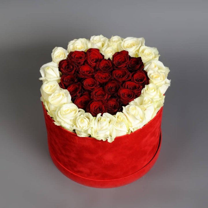 39 красных и белых роз в цилиндре в Иркутске