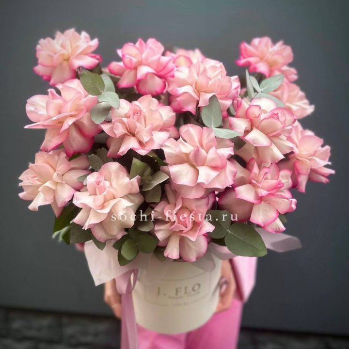 17 Французских  роз Венди в боксе в Иркутске