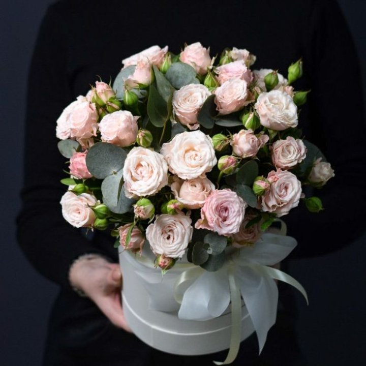 Бомбастик бокс №2 в Иркутске