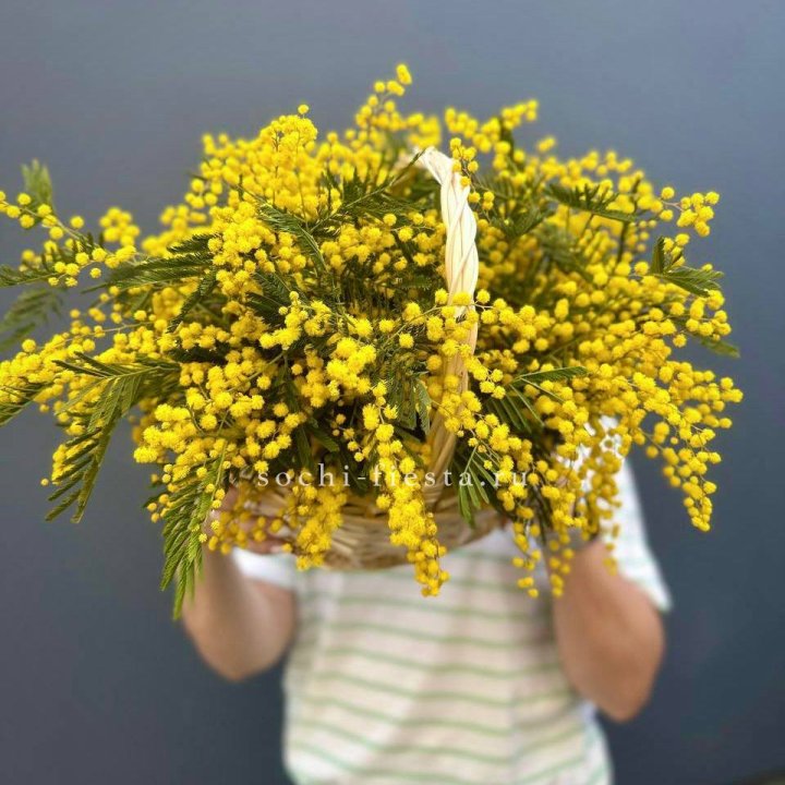 Весенняя корзина мимозы в Иркутске