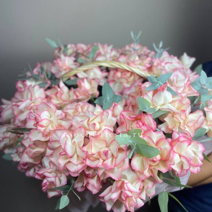 51 джумилия  в корзине   в Иркутске