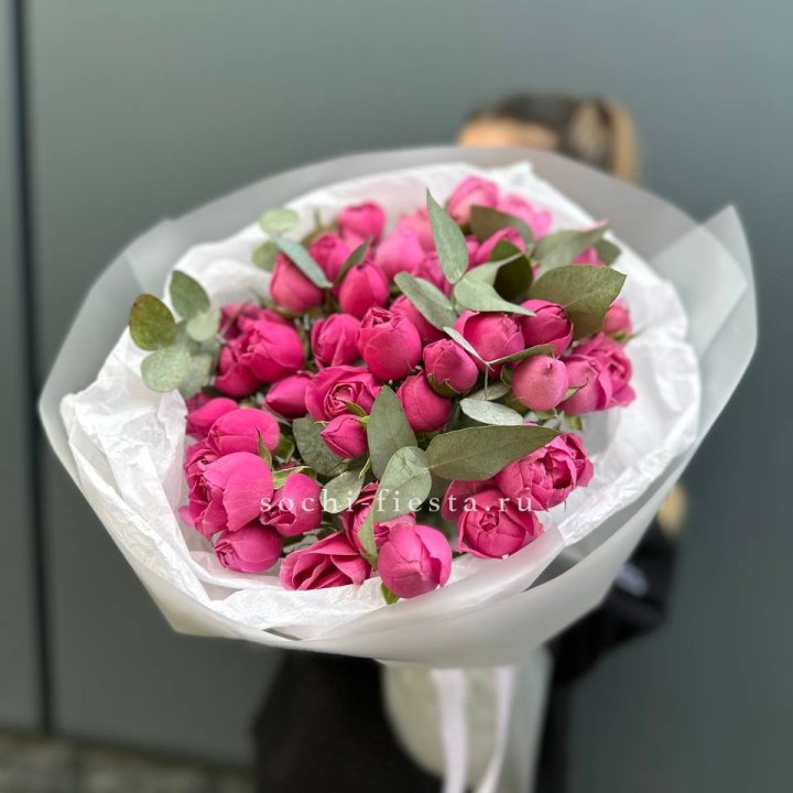 17 Мисти бабблс в Иркутске