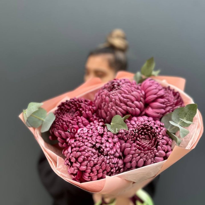 Хризантемы  Бигуди  в Иркутске