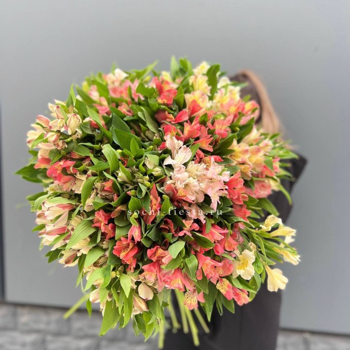 51 альстромерия в Иркутске