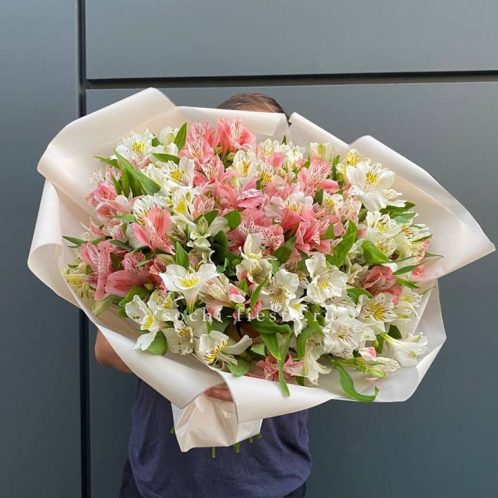 39 альстромерий в Иркутске