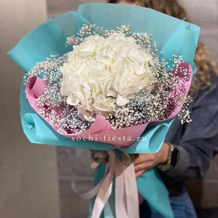 Гортензия "Райдов" в Иркутске