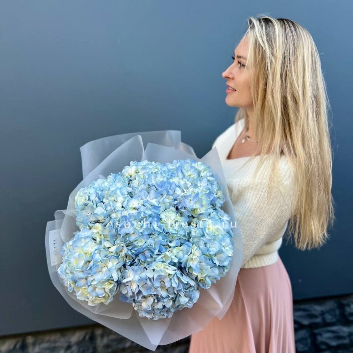 7 голубых гортензий в Иркутске