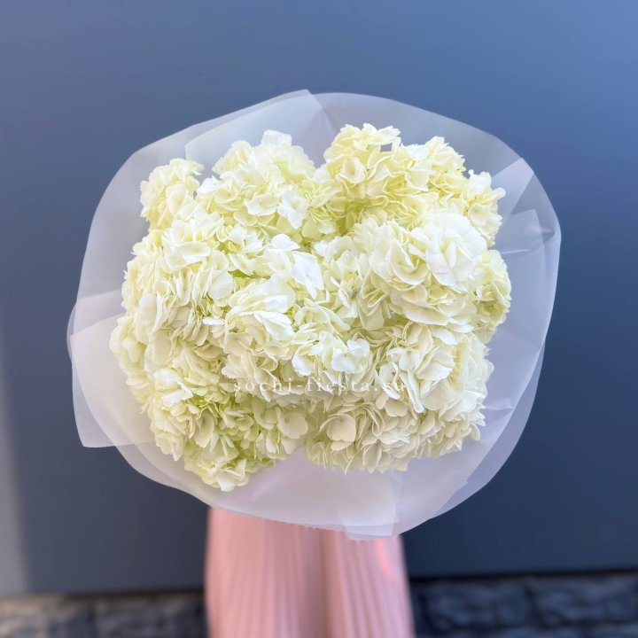 7 белых гортензий в Иркутске