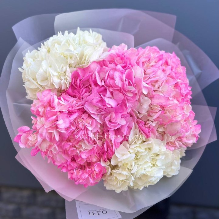 5 бело-розовых гортензий в Иркутске