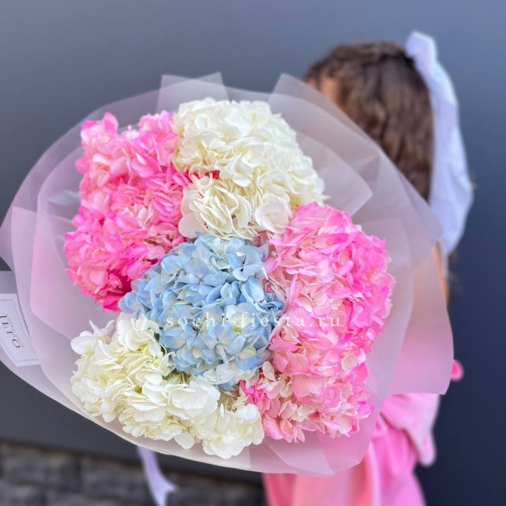 7 гортензий микс в Иркутске