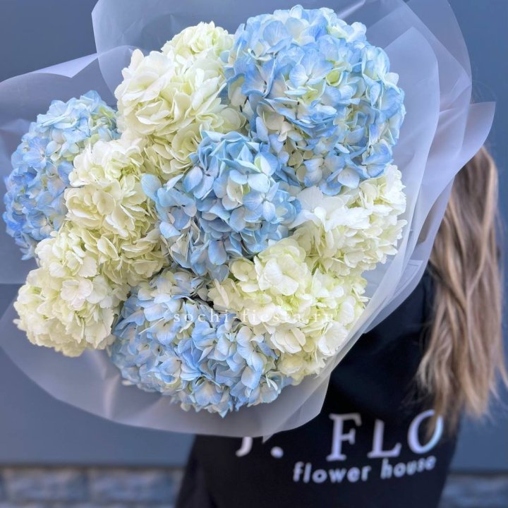 9 бело-голубых гортензий в Иркутске