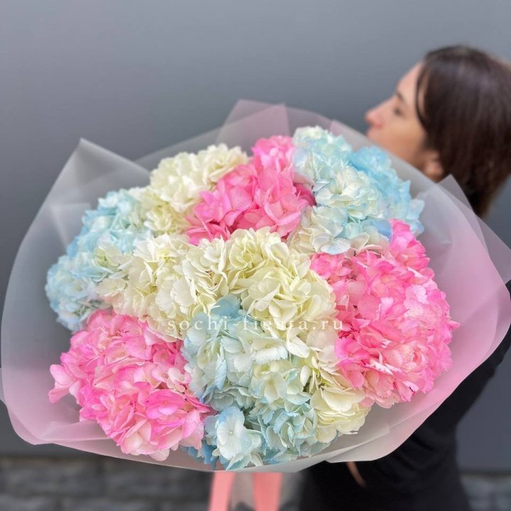 9 гортензий микс в Иркутске